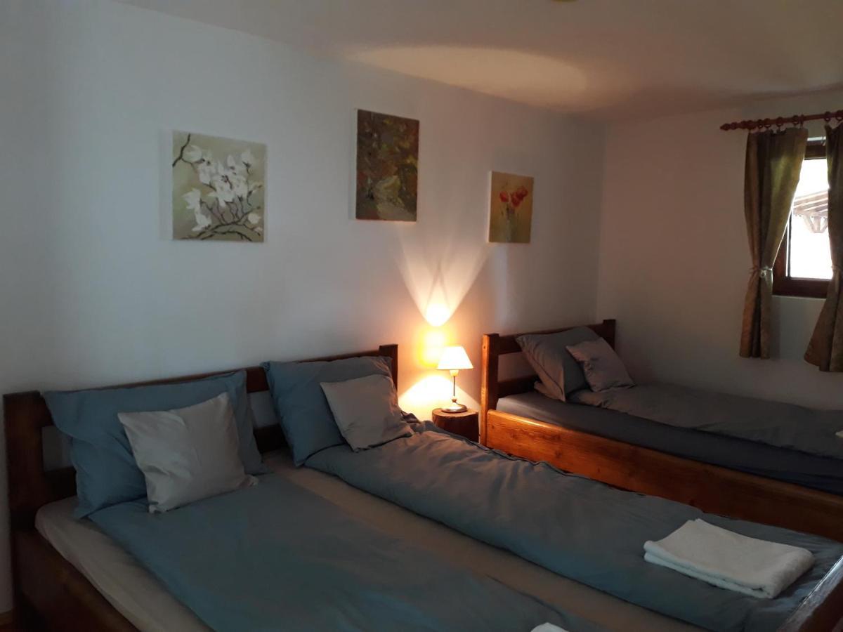 Casa De Peste Apa Holiday home *