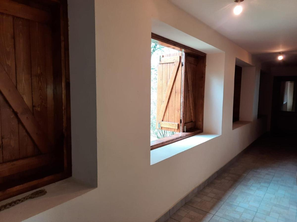 Casa De Peste Apa Holiday home Pesteana