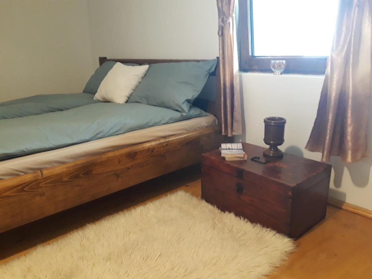 Casa De Peste Apa Holiday home Pesteana