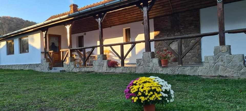 Holiday home Casa De Peste Apa