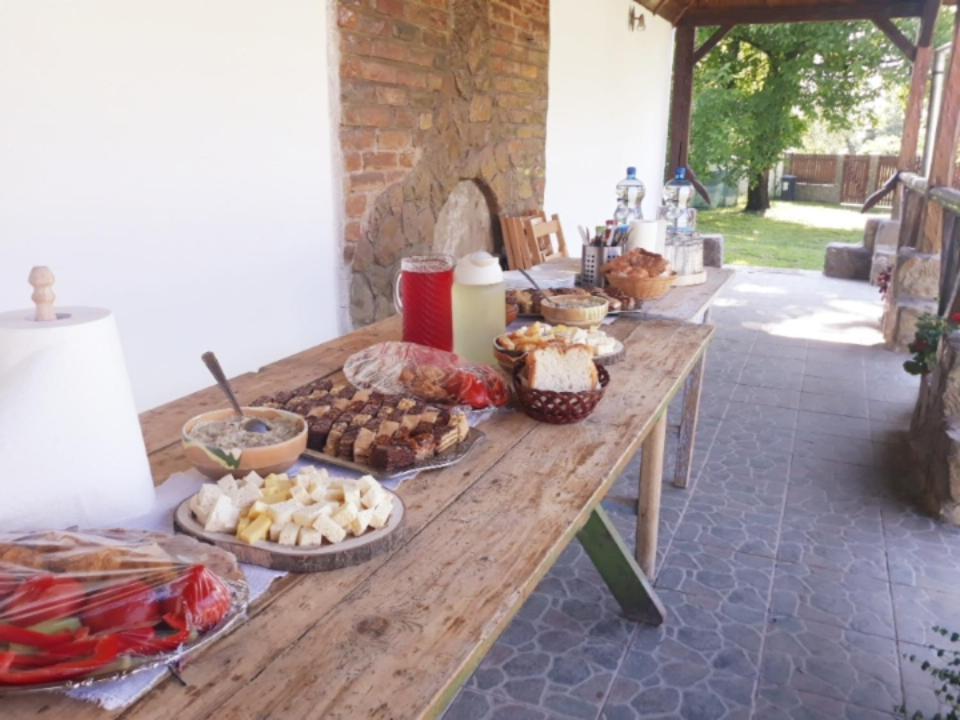 Casa De Peste Apa Holiday home Pesteana