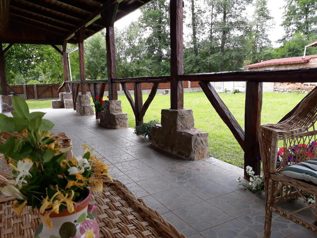 Holiday home Casa De Peste Apa Pesteana
