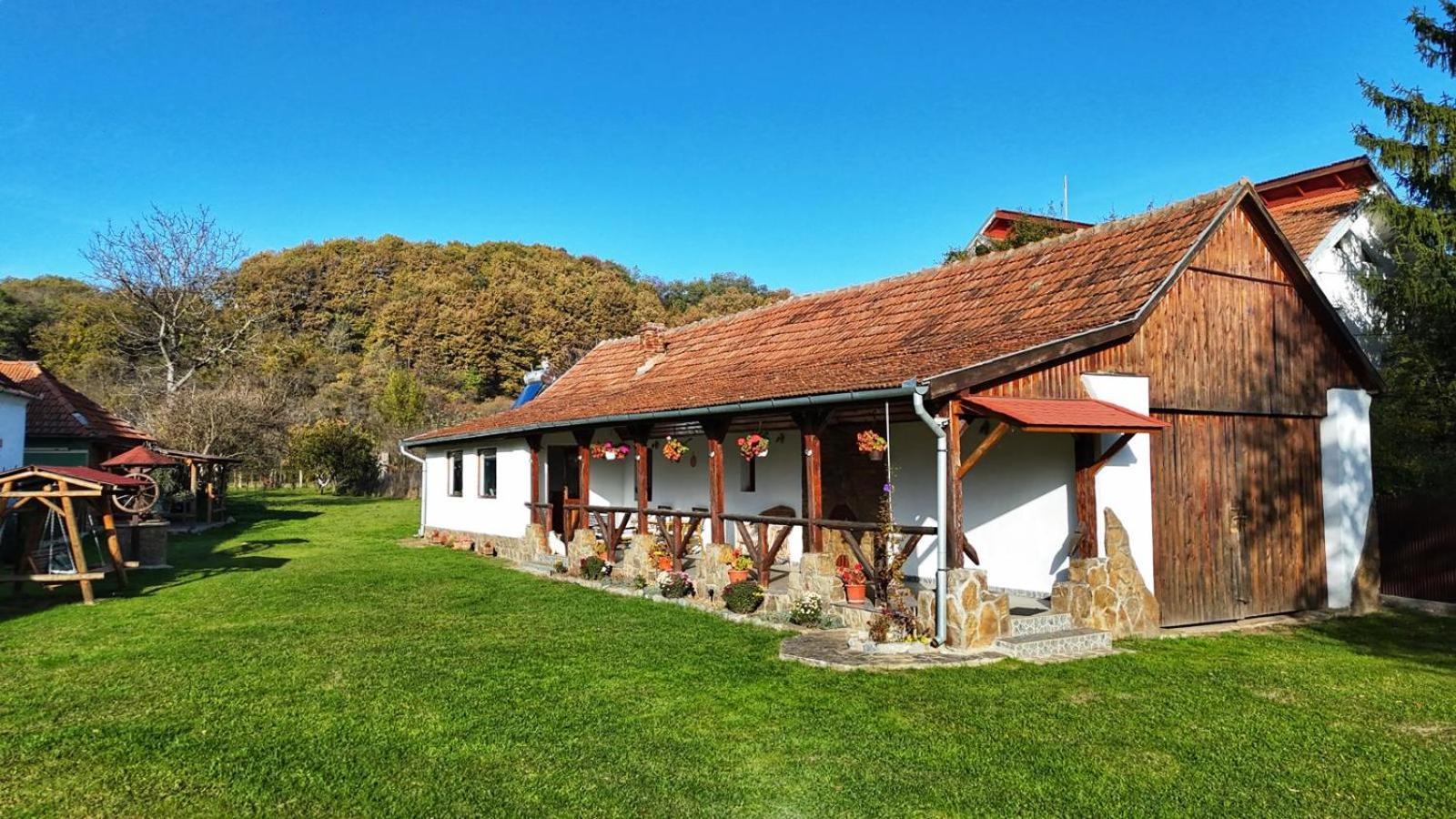 Casa De Peste Apa Holiday home *