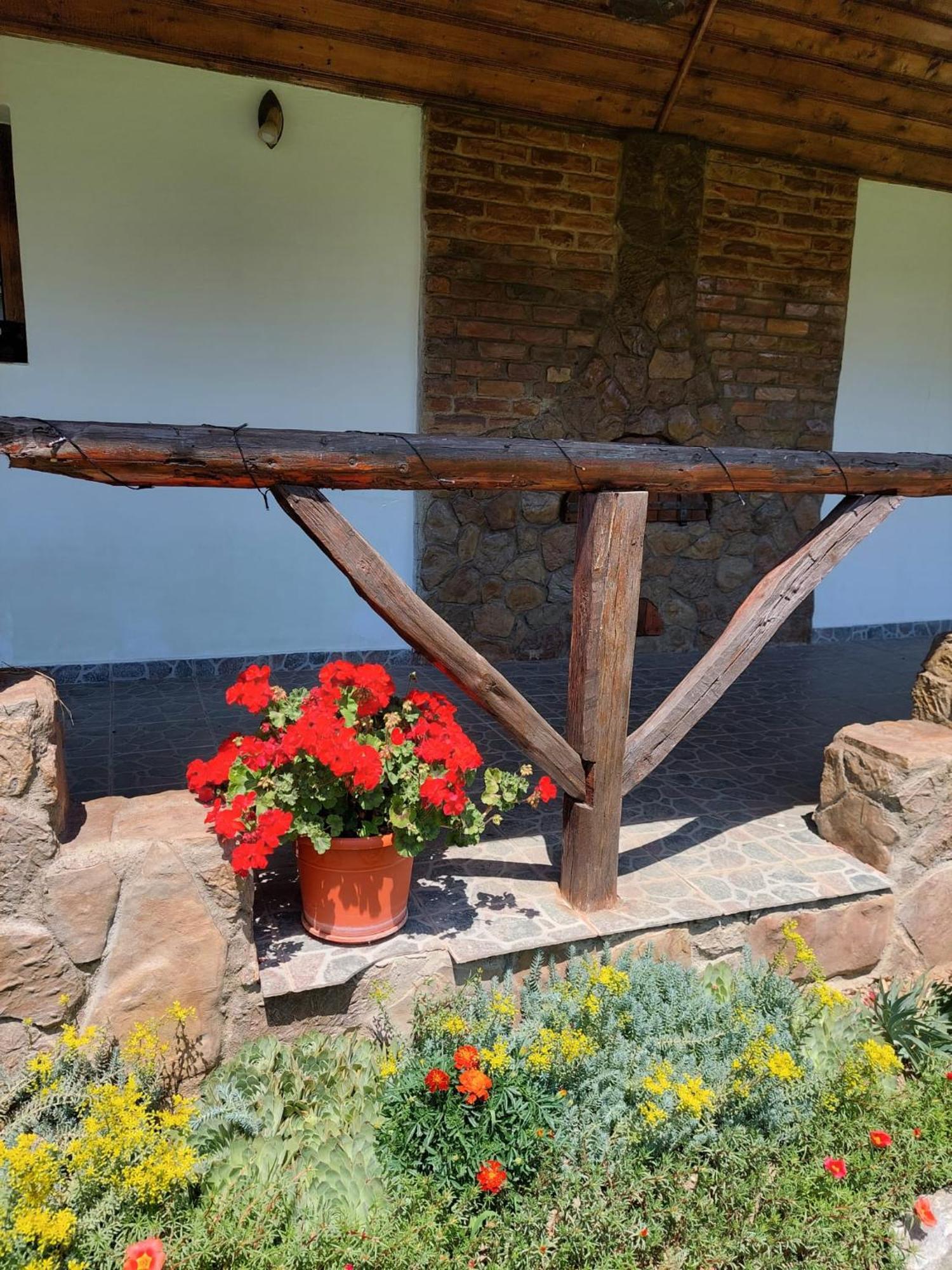 Casa De Peste Apa Holiday home Pesteana