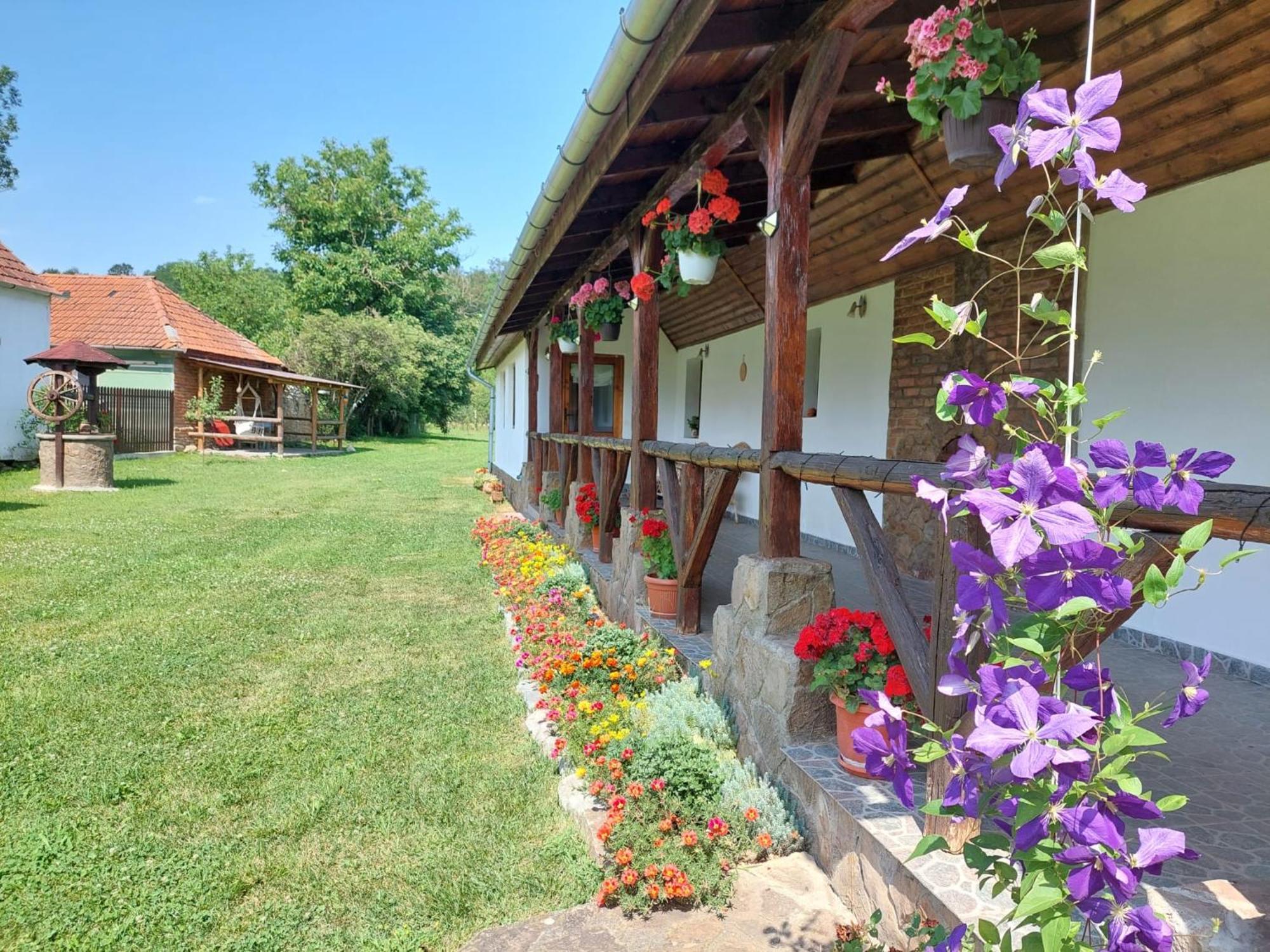 Holiday home Casa De Peste Apa